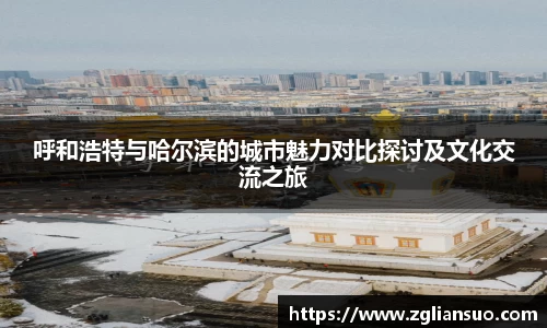 呼和浩特与哈尔滨的城市魅力对比探讨及文化交流之旅